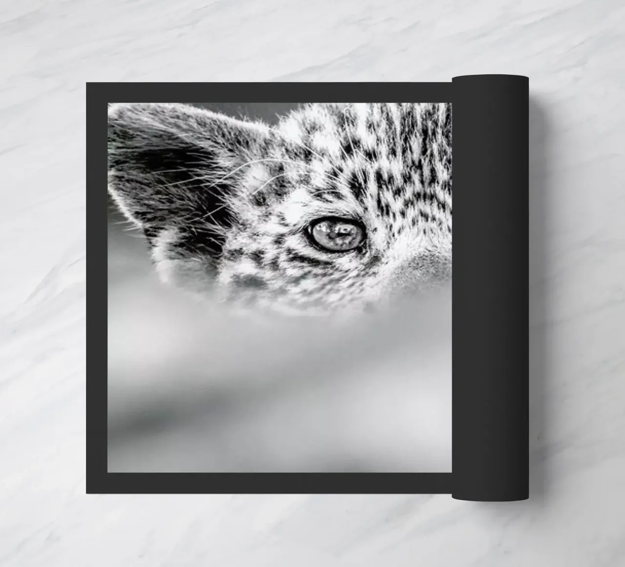 Hide and Seek zerbino da Natural Kingdom