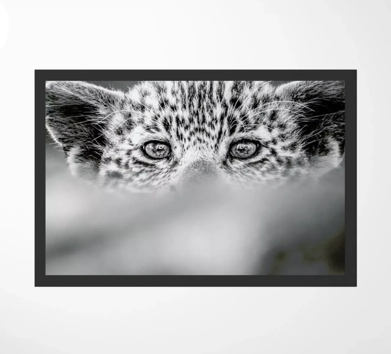 Hide and Seek zerbino da Natural Kingdom