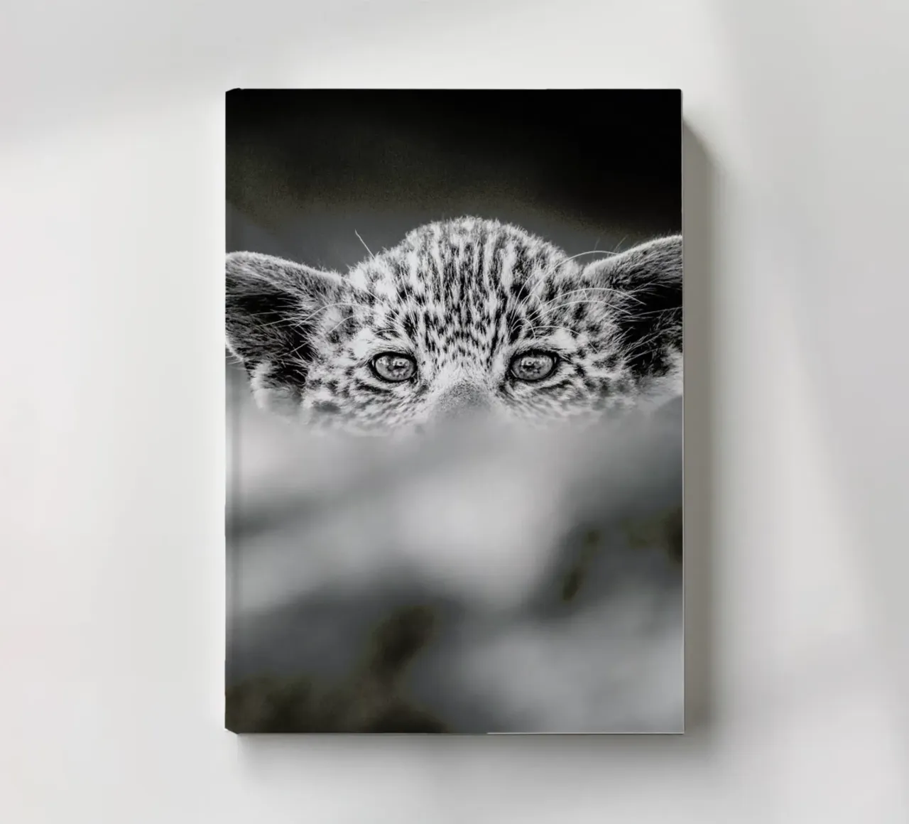 Hide and Seek notebook by Natural Kingdom