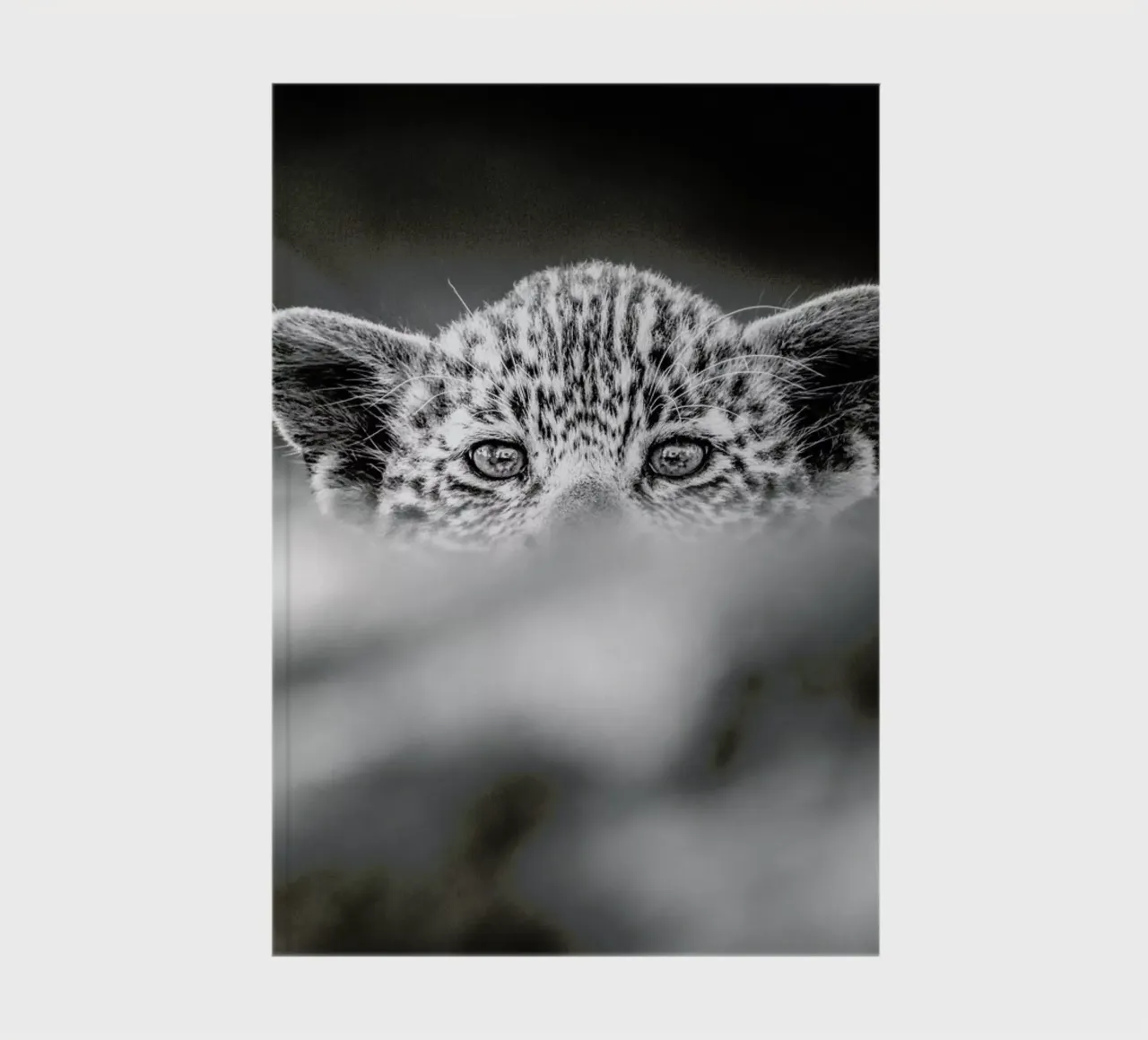 Hide and Seek notebook by Natural Kingdom