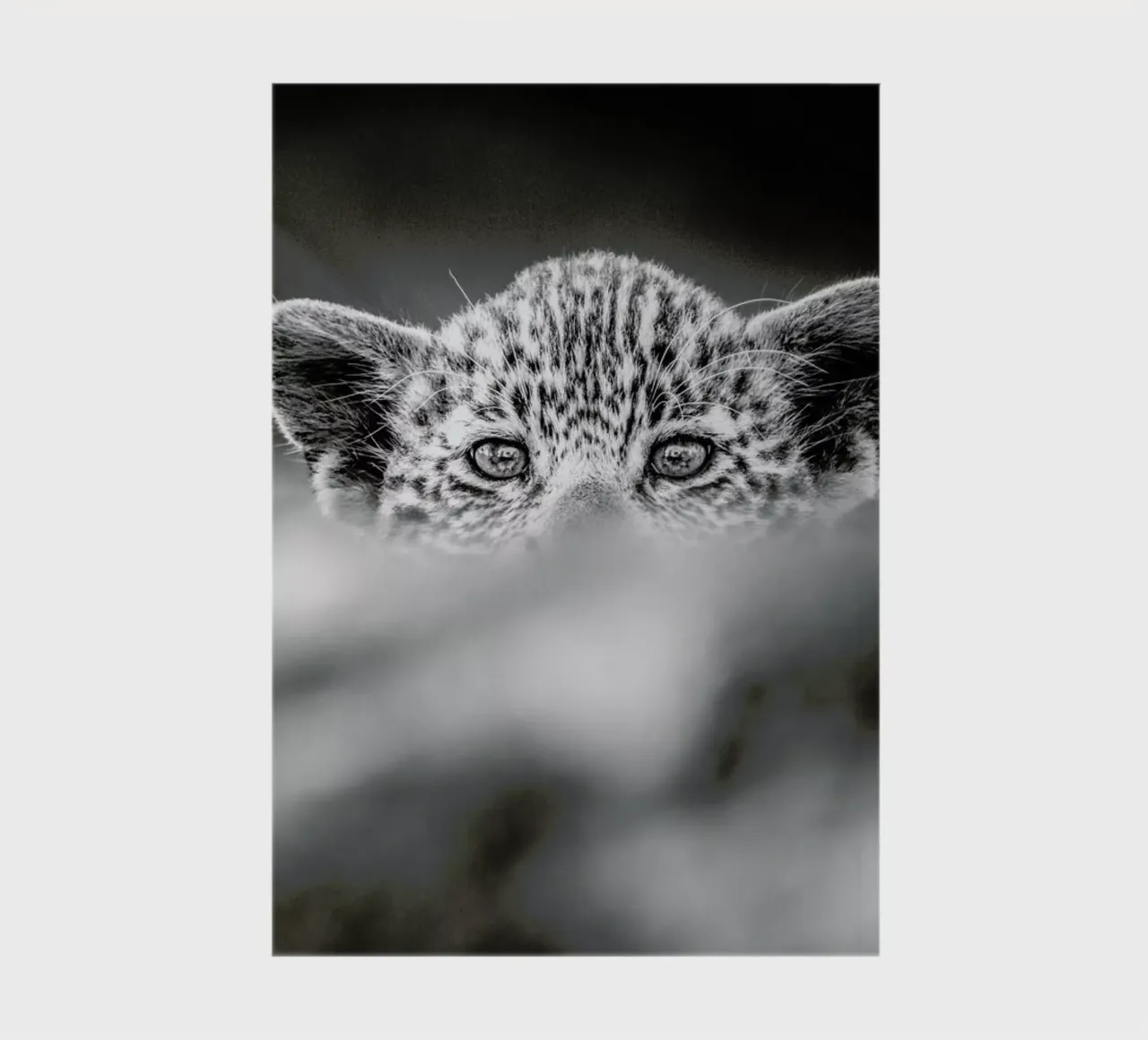 Hide and Seek notebook by Natural Kingdom