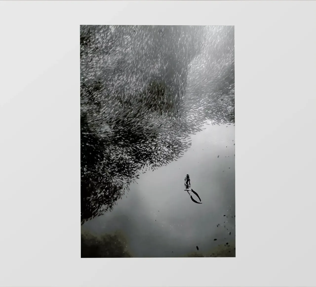 Diving Deep @Niccolo_Stevens telo in pvc da EyeEm Mobile GmbH