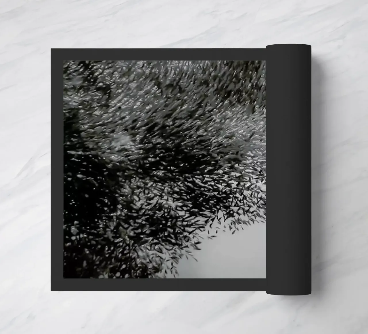 Diving Deep @Niccolo_Stevens zerbino da EyeEm Mobile GmbH