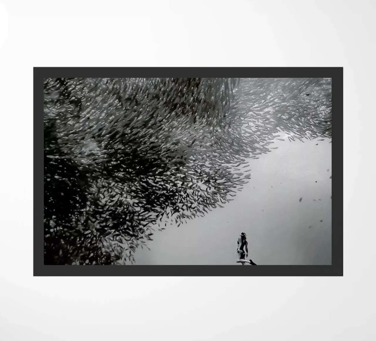 Diving Deep @Niccolo_Stevens zerbino da EyeEm Mobile GmbH