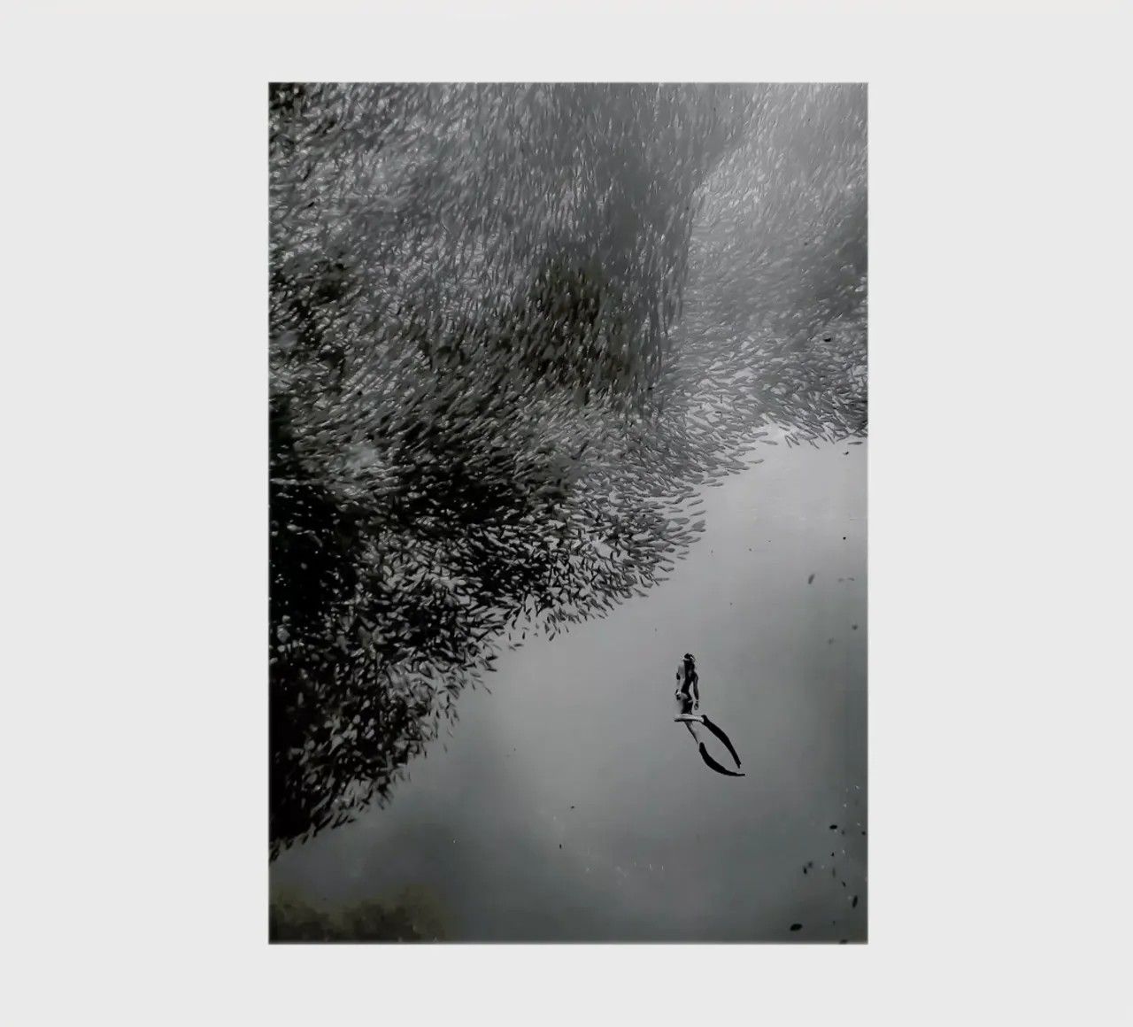 Diving Deep @Niccolo_Stevens notebook by EyeEm Mobile GmbH