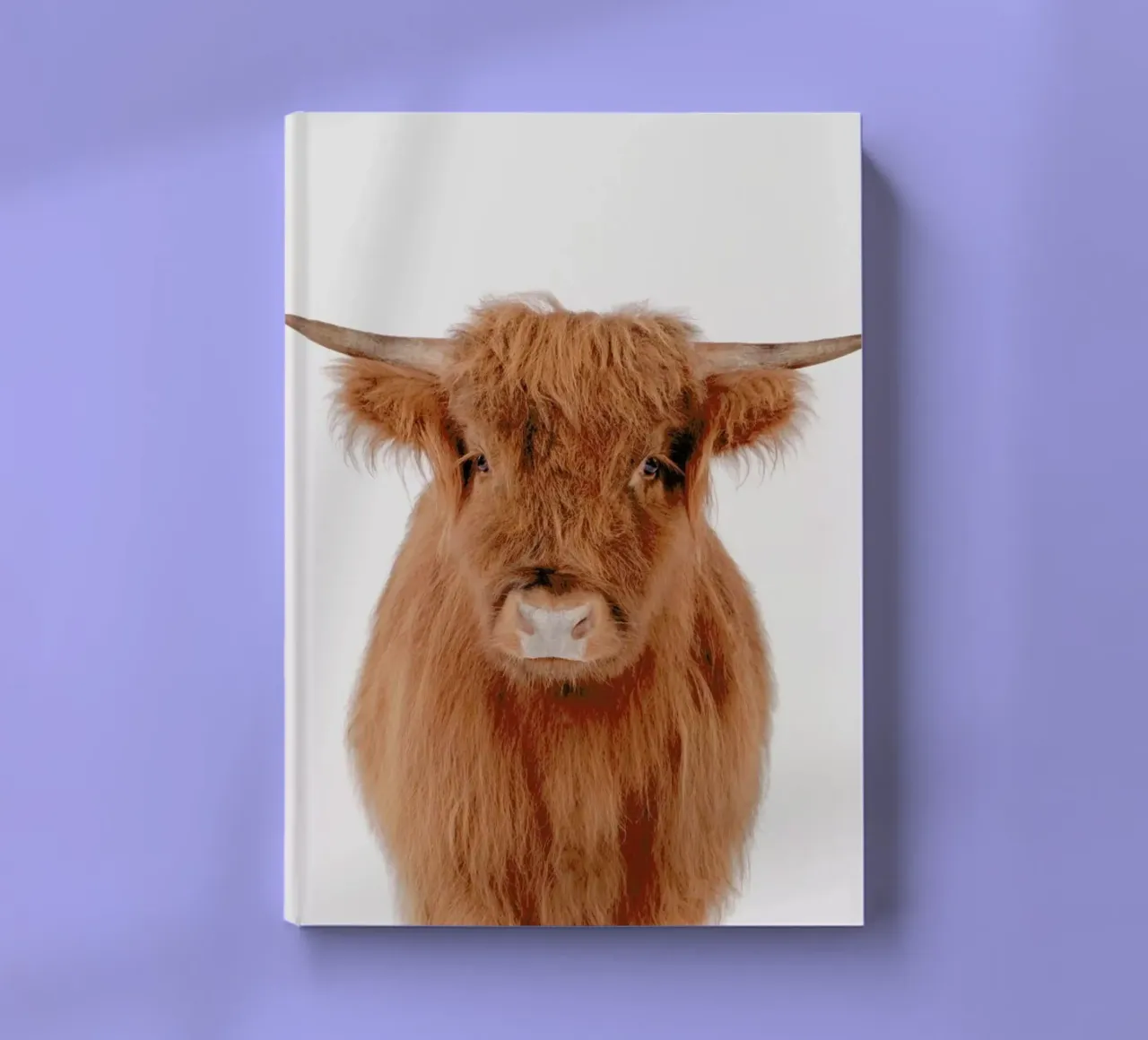 Young Highland Cow notebook by Paws & Claws
