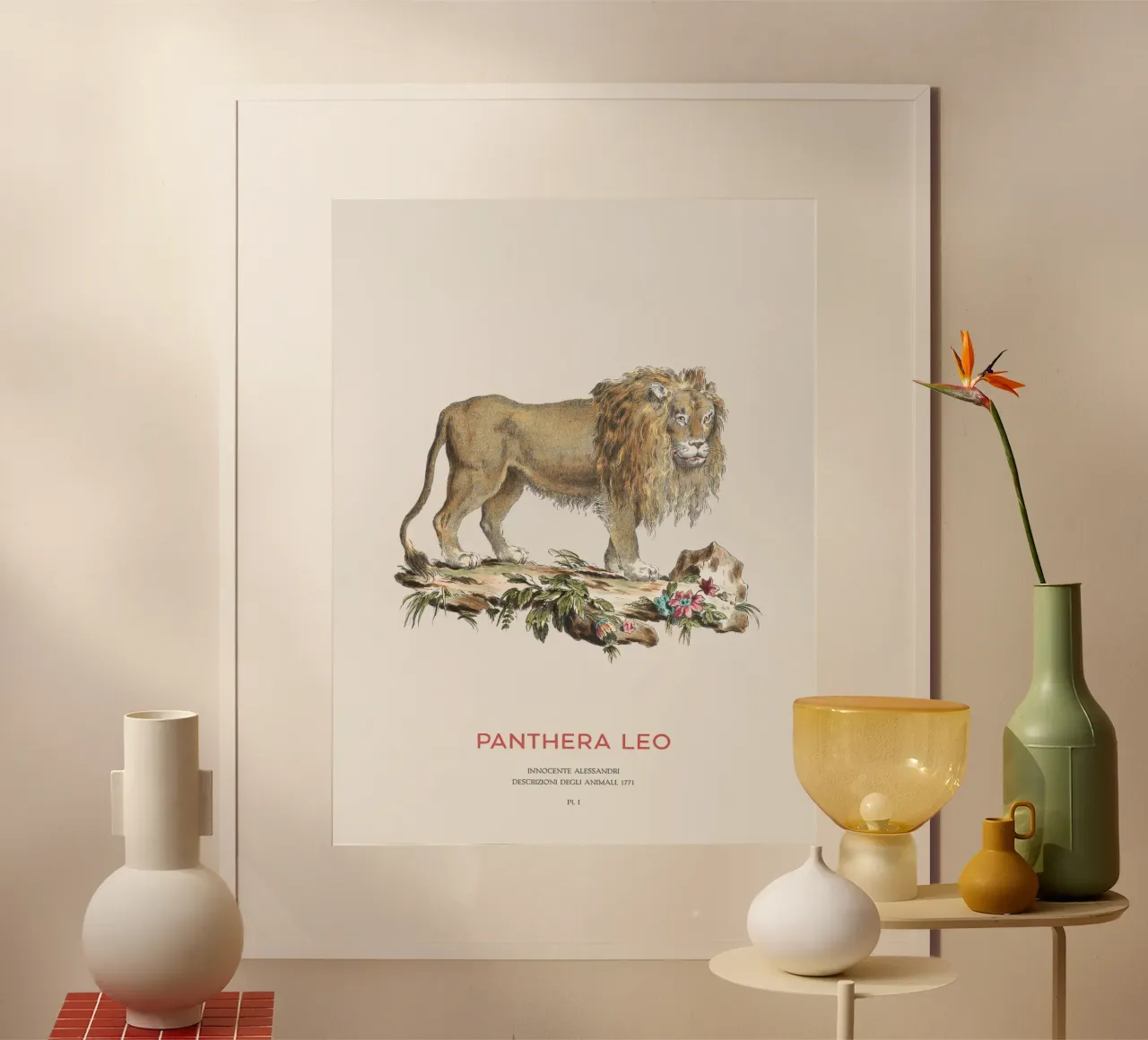 Leone Illustrazione scientifica d'epoca poster con telaio in legno da Vintagrafica