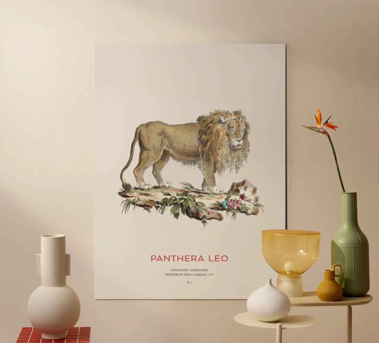 Leone Illustrazione scientifica d'epoca poster con telaio in legno da Vintagrafica