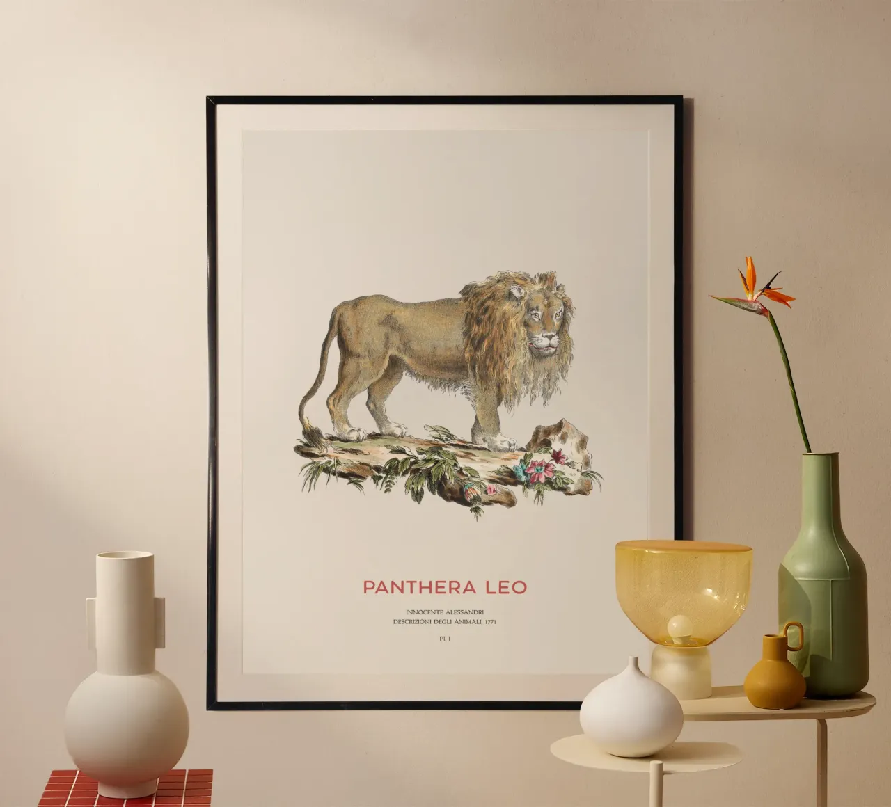 Leone Illustrazione scientifica d'epoca poster con telaio in legno da Vintagrafica