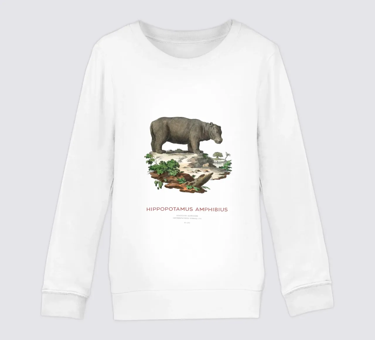 Ippopotamo Incisione minimalista felpa bambino da Vintagrafica