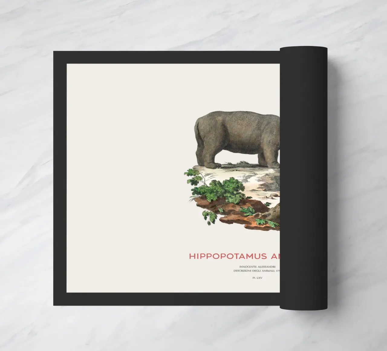 Ippopotamo Incisione minimalista zerbino da Vintagrafica