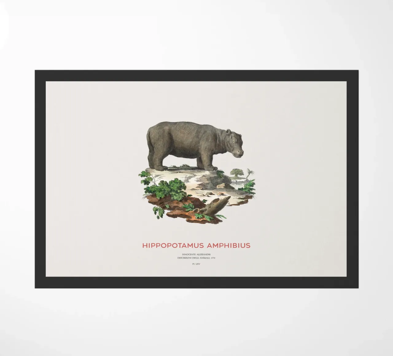 Ippopotamo Incisione minimalista zerbino da Vintagrafica