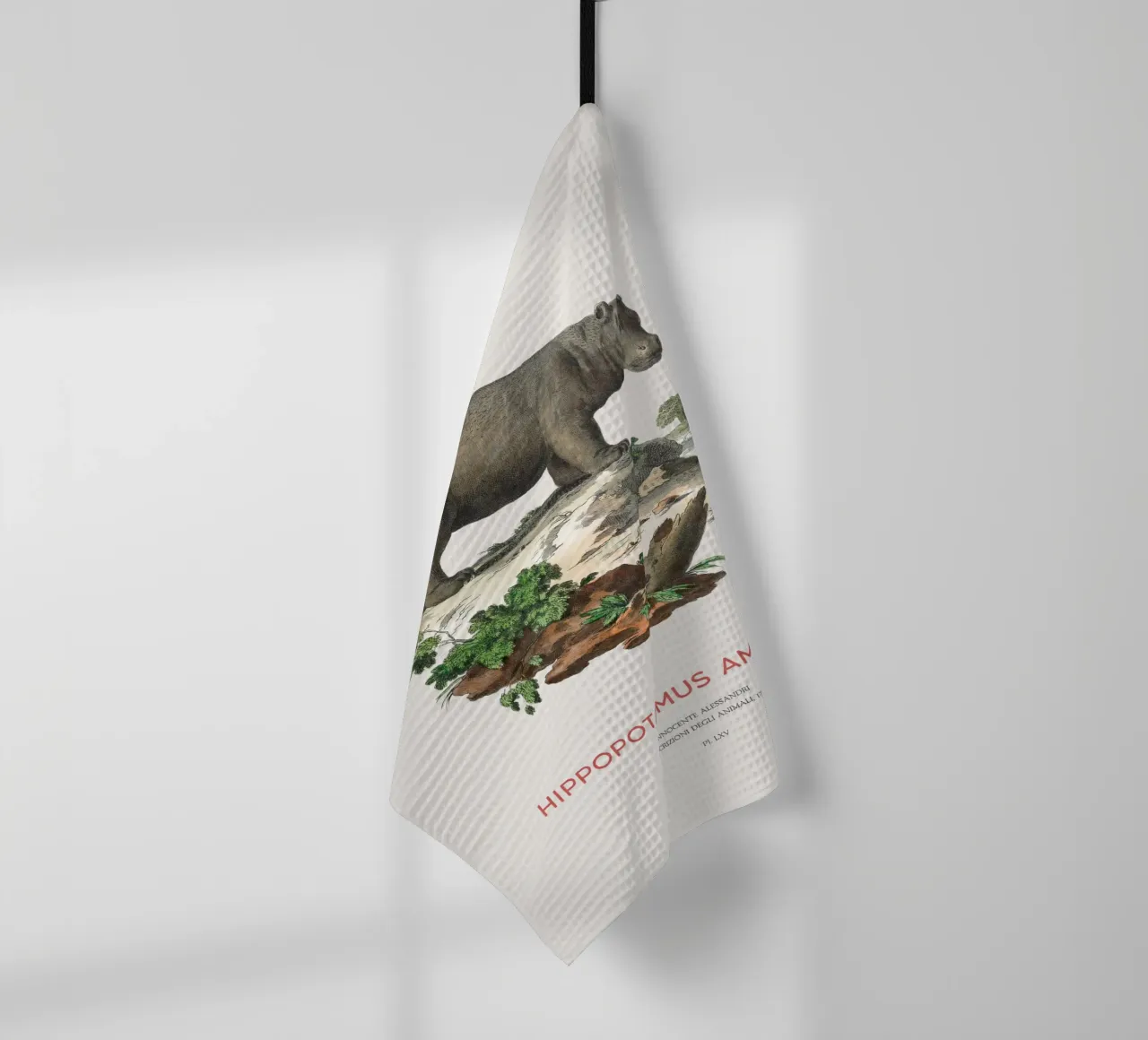Ippopotamo Incisione minimalista canovaccio da cucina da Vintagrafica