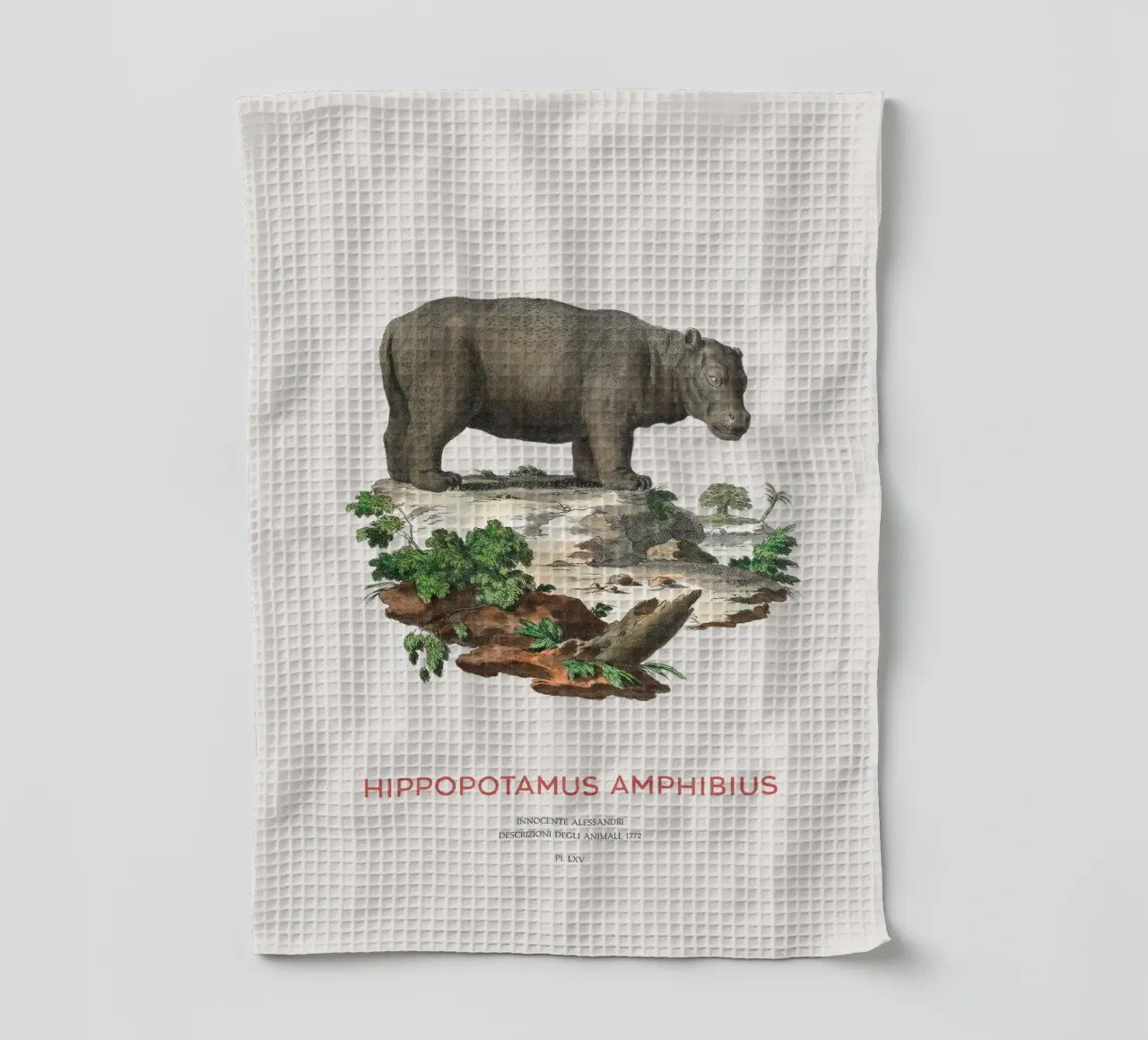 Ippopotamo Incisione minimalista canovaccio da cucina da Vintagrafica