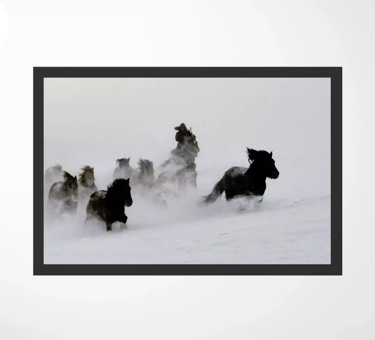 Running Horses zerbino da EyeEm Mobile GmbH