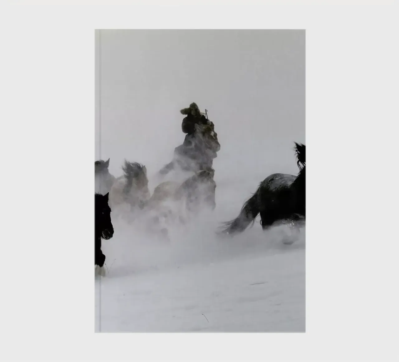 Running Horses notebook by EyeEm Mobile GmbH