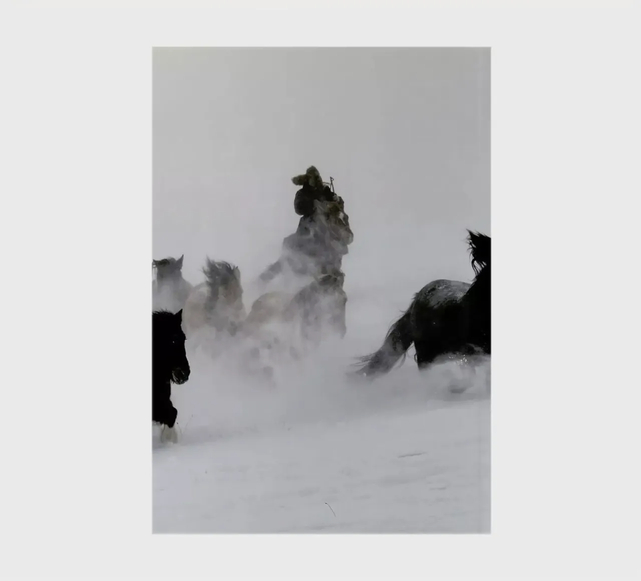 Running Horses notebook by EyeEm Mobile GmbH
