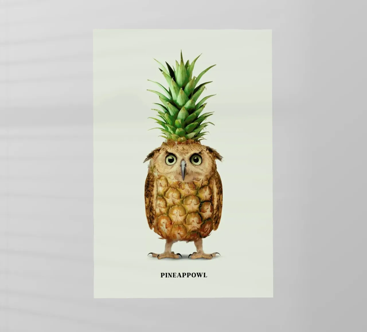 Pineappowl pellicola backlit da Jonas Loose