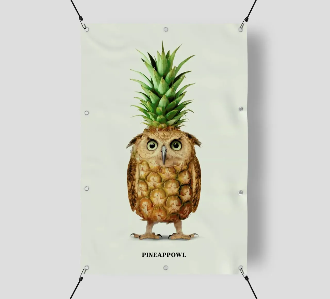 Pineappowl PVC Plane von Jonas Loose