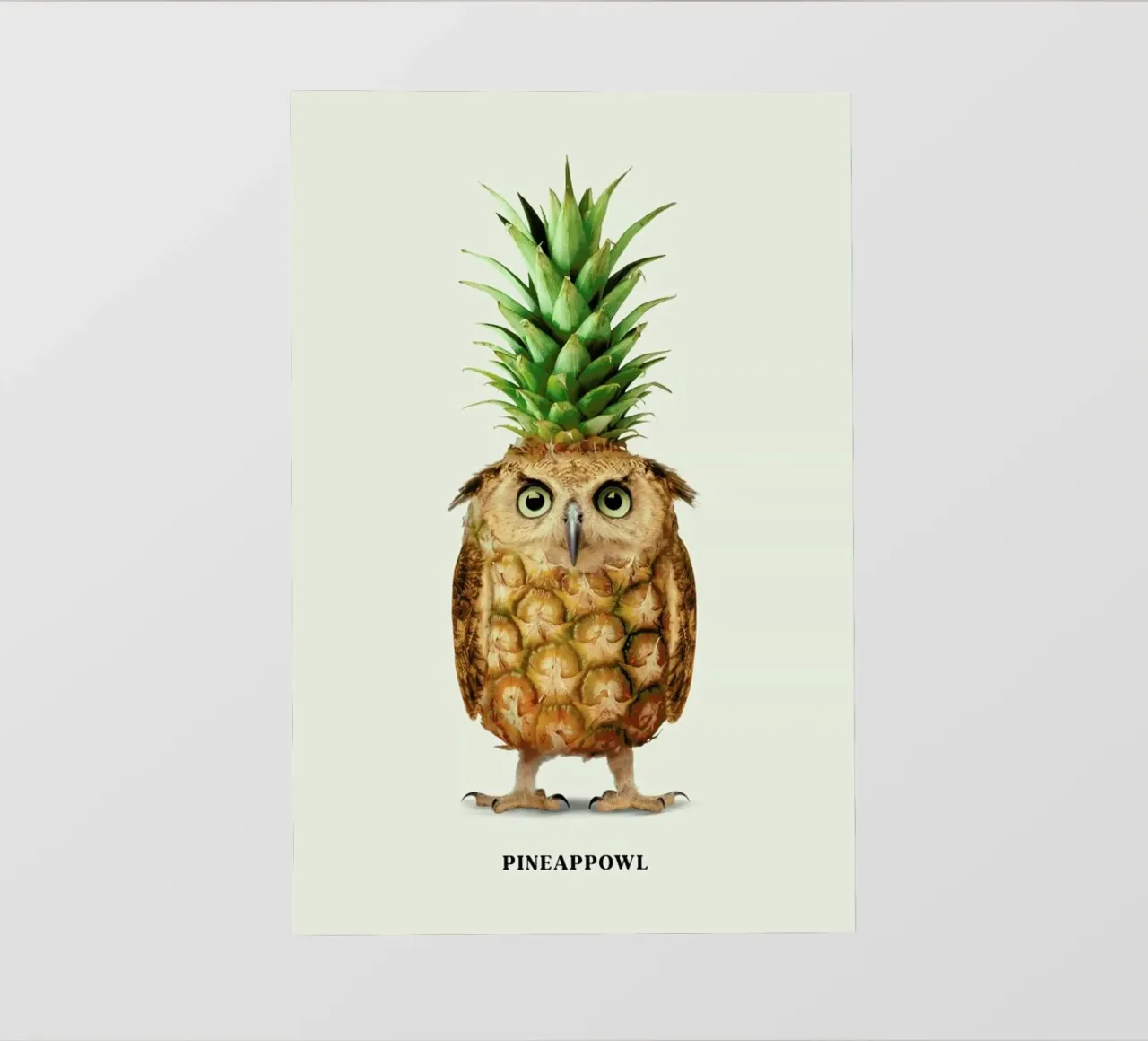 Pineappowl PVC Plane von Jonas Loose