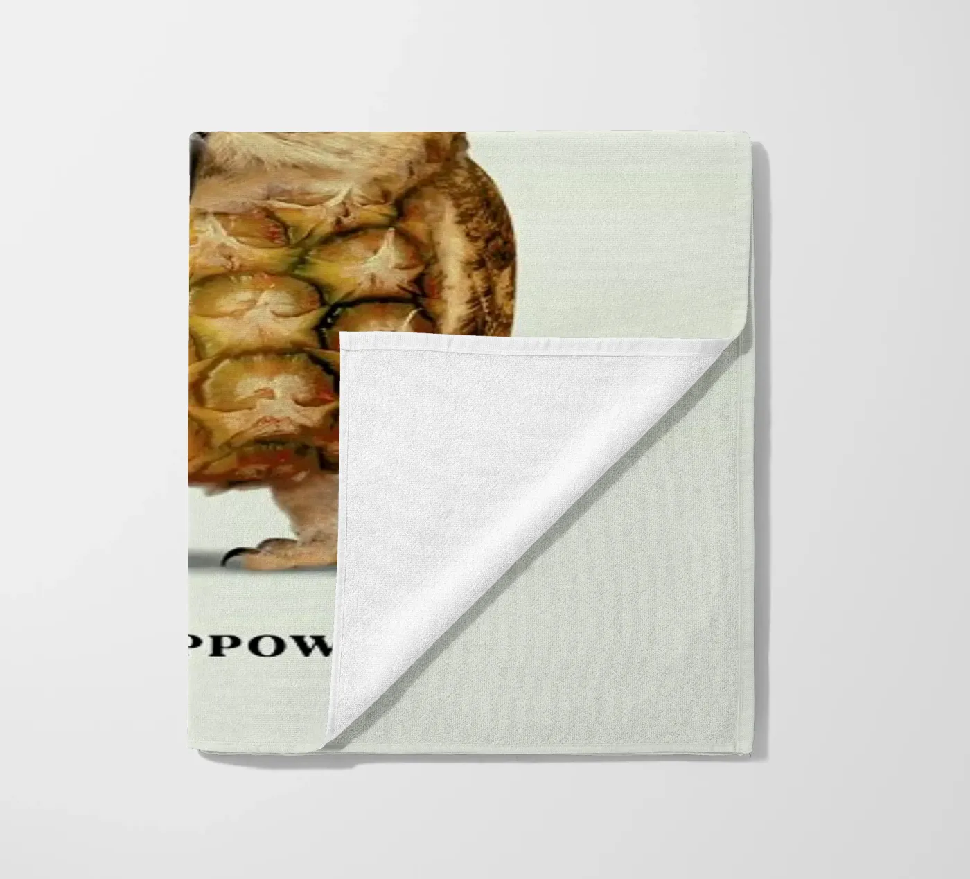 Pineappowl beach towel by Jonas Loose