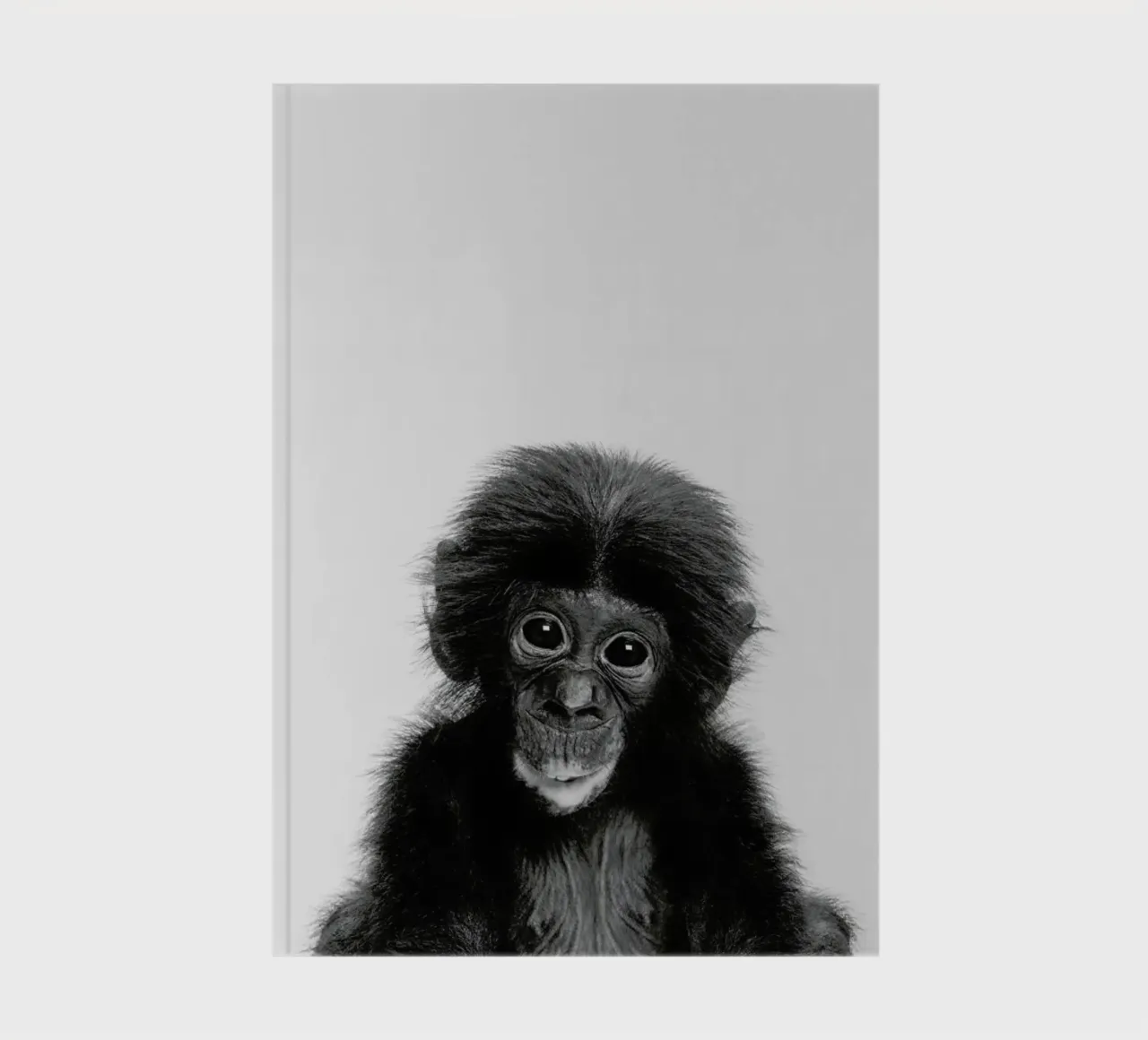 Bonobo Classic notebook by Paws & Claws