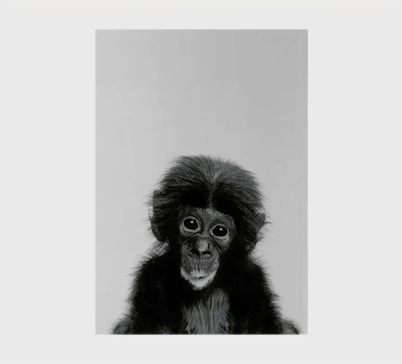 Bonobo Classic notebook by Paws & Claws