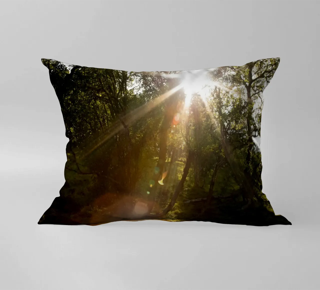 Sunlight streaming through the trees decorative cushion by karijn_landscapes