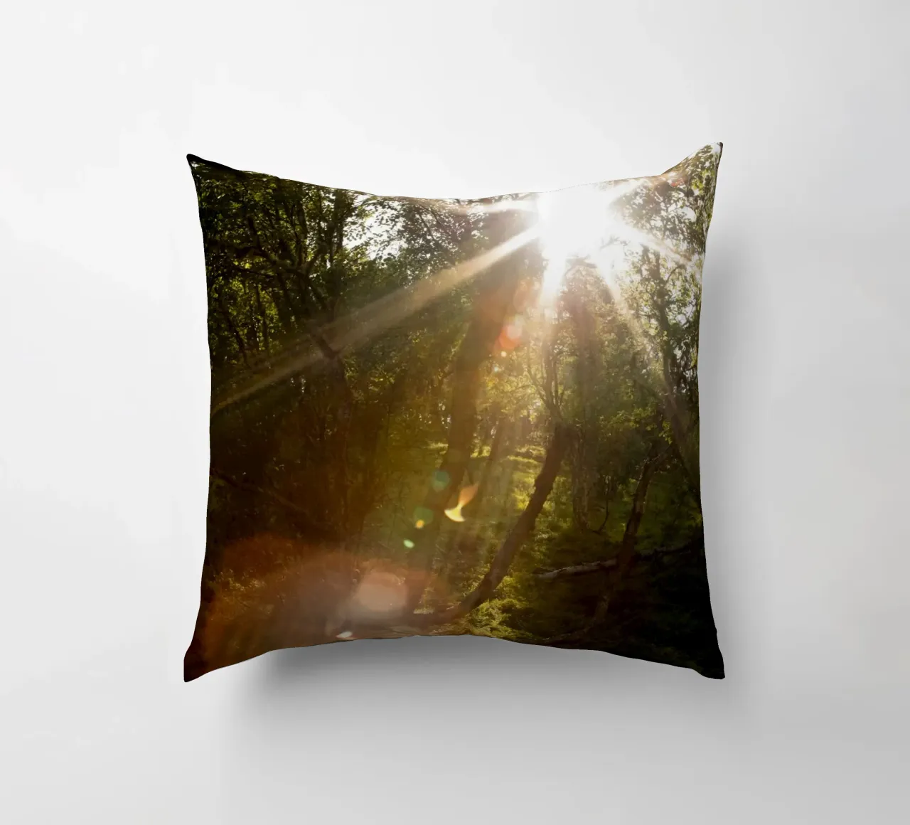 Sunlight streaming through the trees decorative cushion by karijn_landscapes