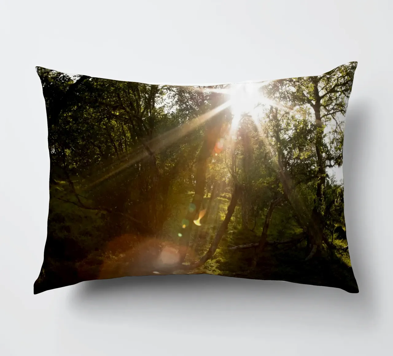 Sunlight streaming through the trees decorative cushion by karijn_landscapes