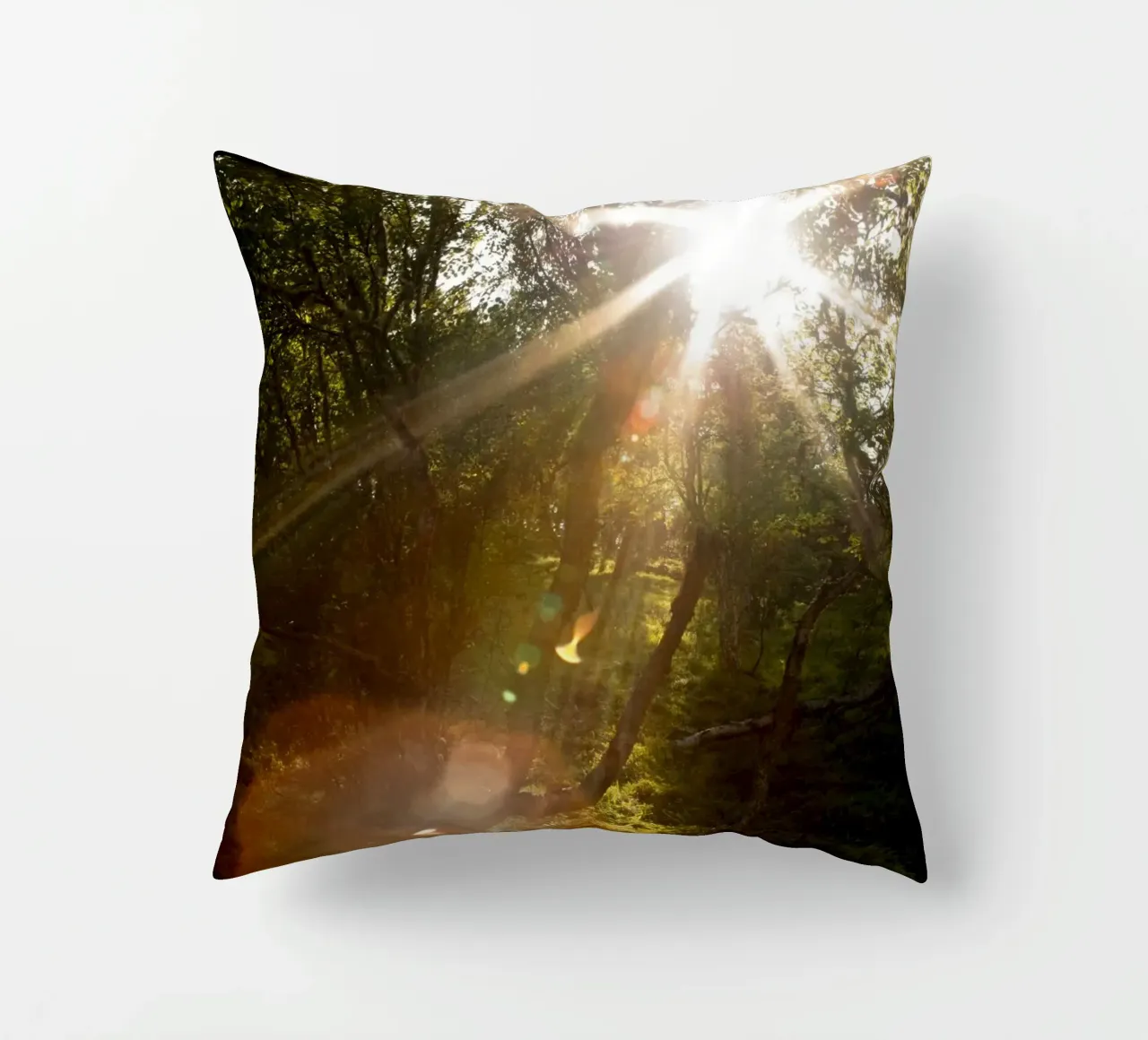 Sunlight streaming through the trees decorative cushion by karijn_landscapes