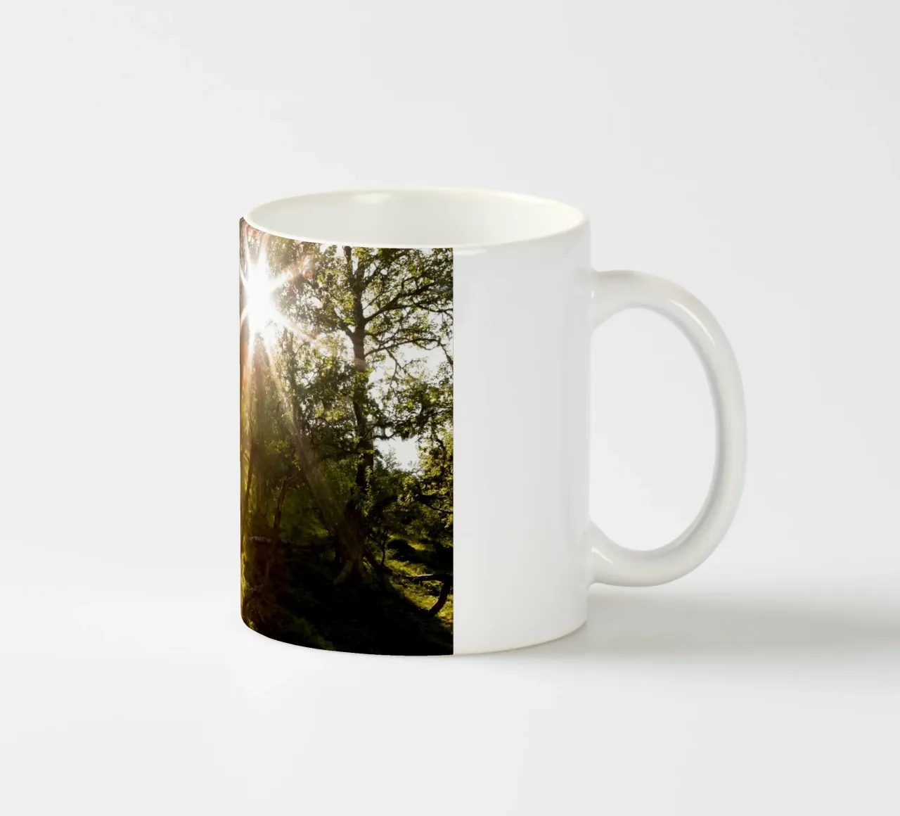 Sunlight streaming through the trees ceramic mug by karijn_landscapes