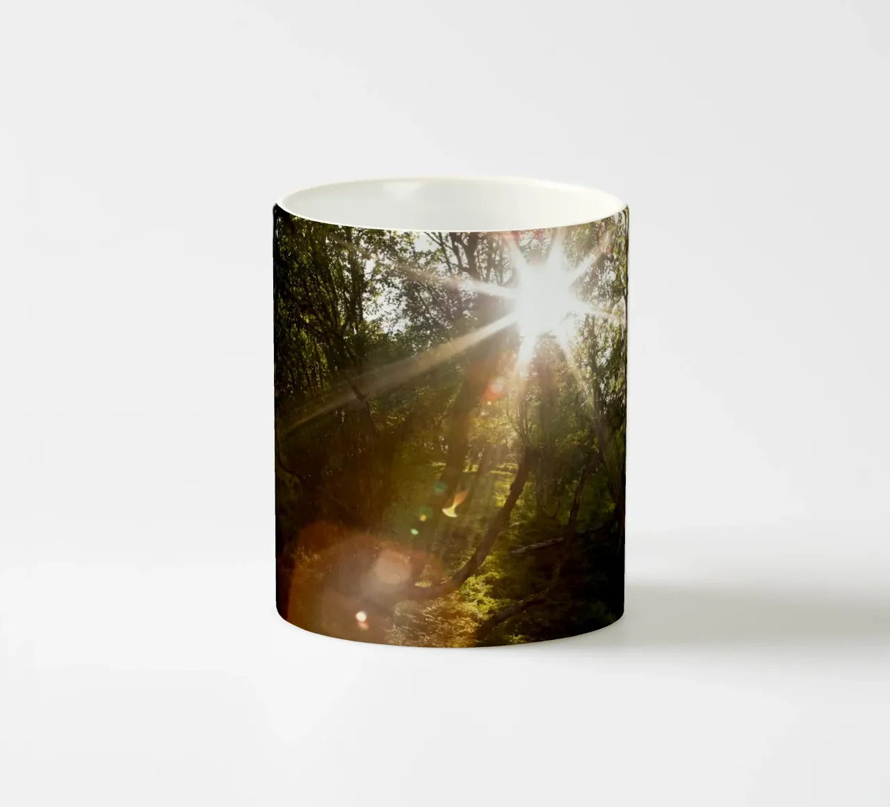 Sunlight streaming through the trees ceramic mug by karijn_landscapes