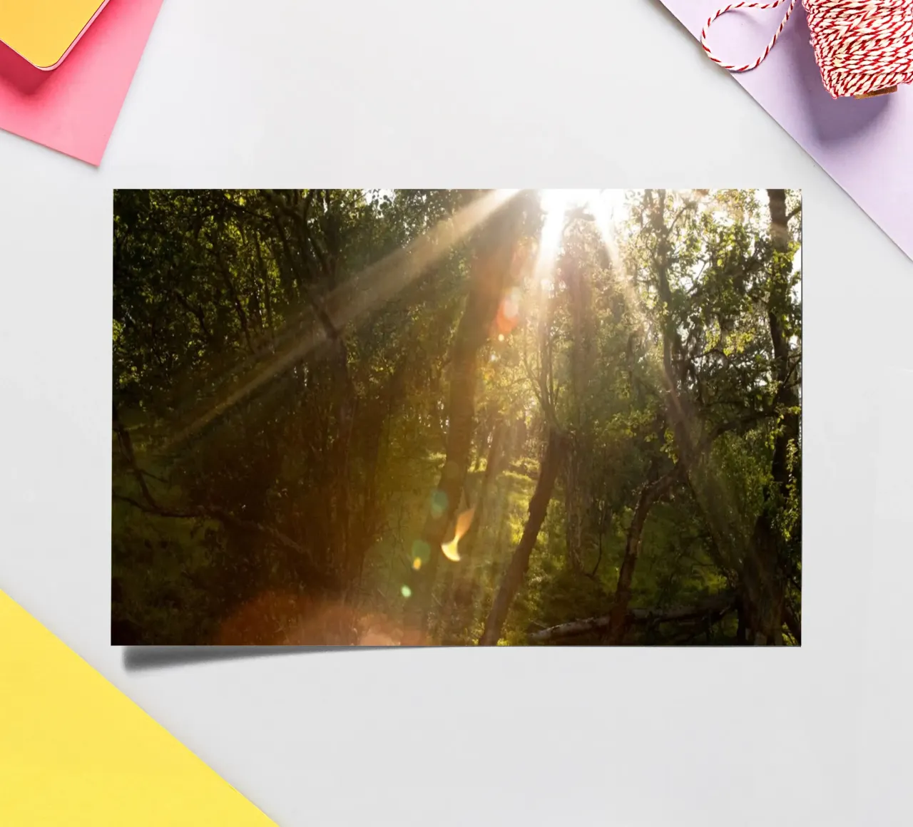 Sunlight streaming through the trees sticker sheet by karijn_landscapes