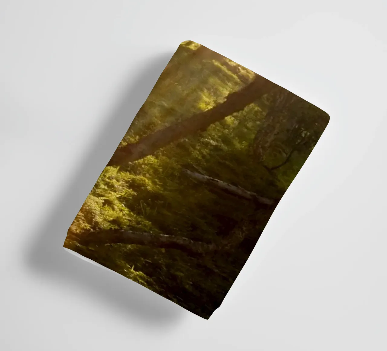 Sunlight streaming through the trees towel by karijn_landscapes