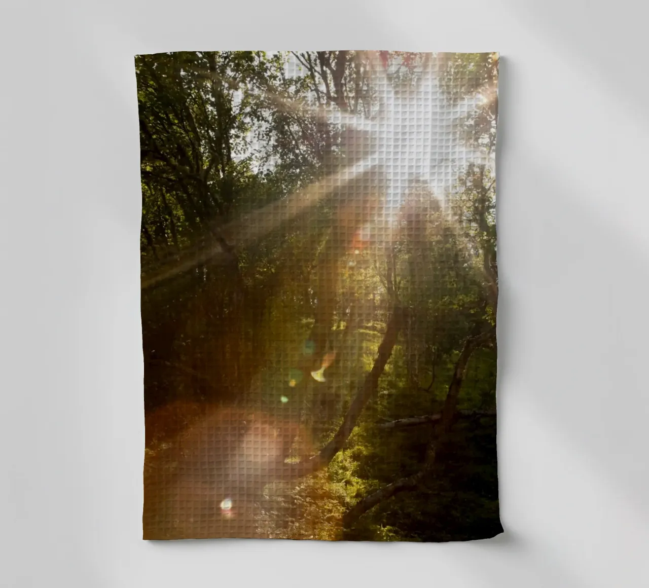 Sunlight streaming through the trees tea towel by karijn_landscapes