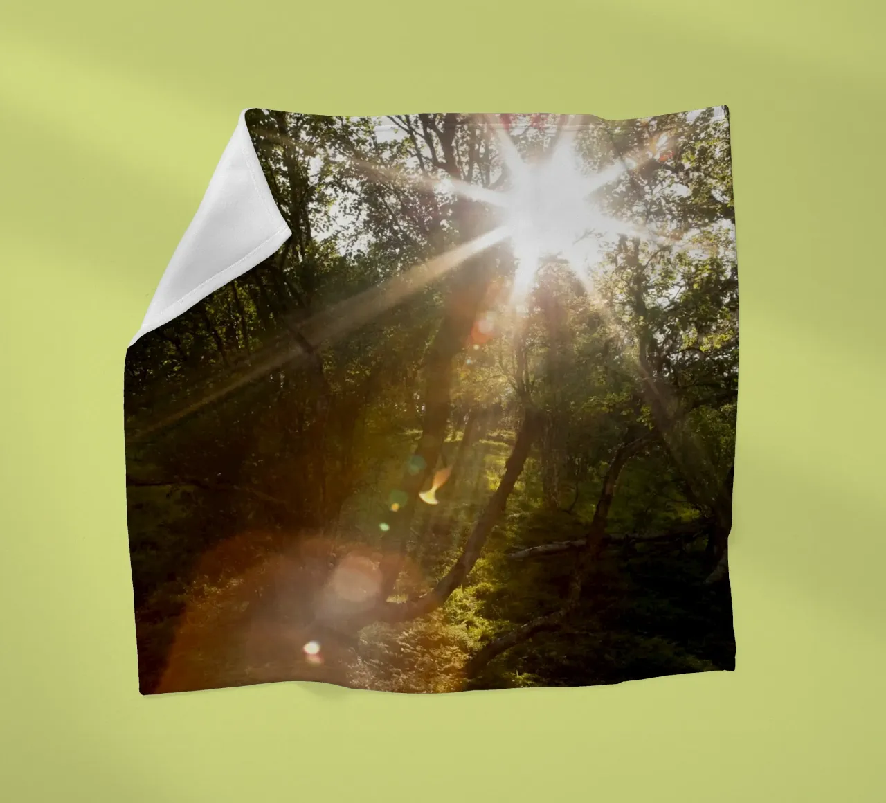 Sunlight streaming through the trees fleece blanket by karijn_landscapes