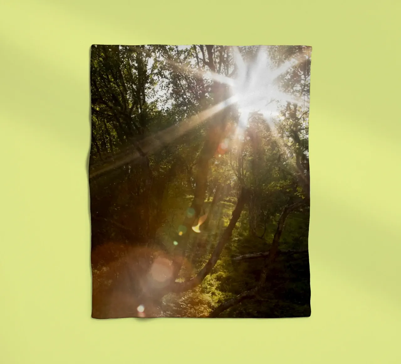 Sunlight streaming through the trees fleece blanket by karijn_landscapes