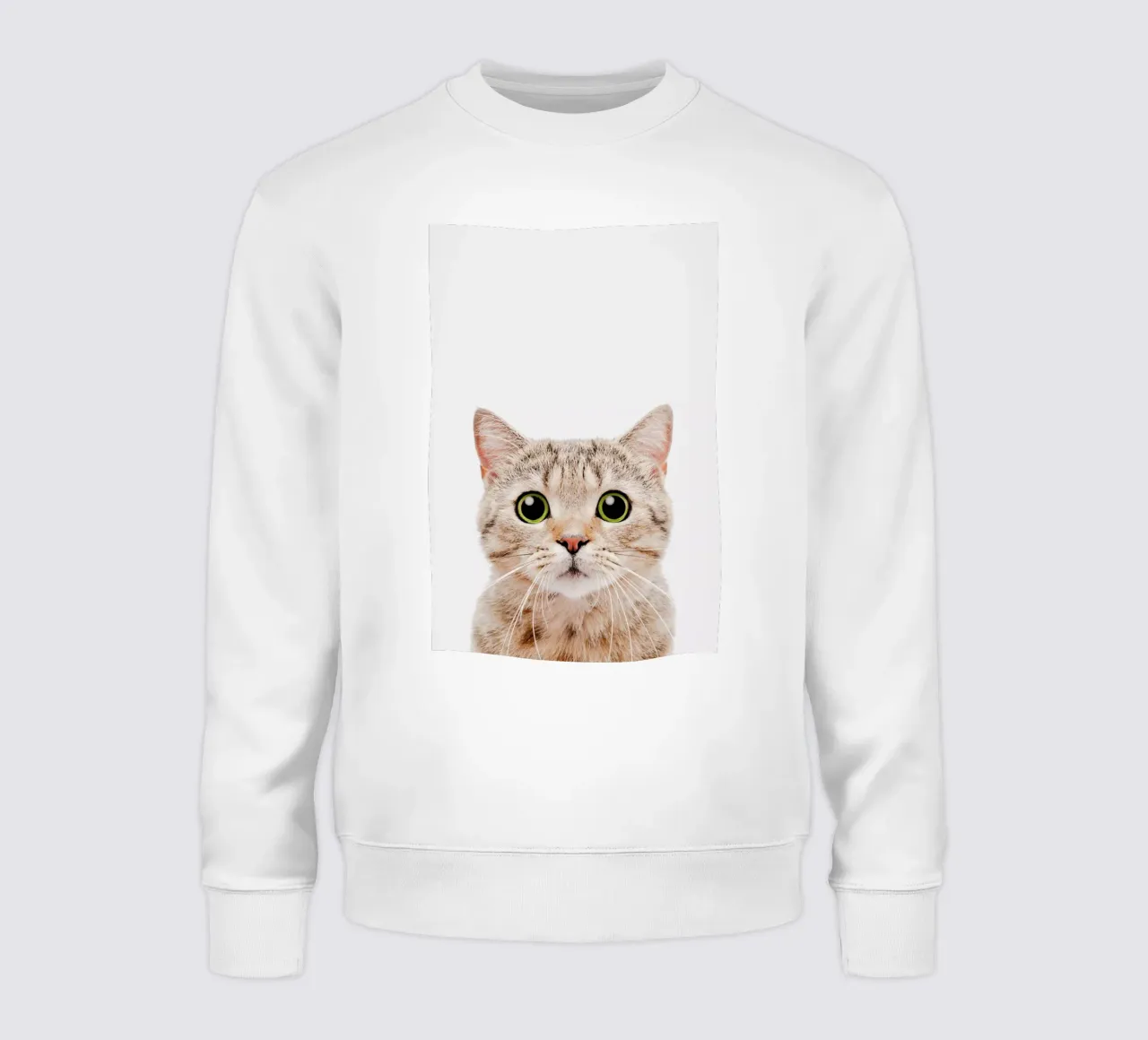 Kitten felpa da Paws & Claws