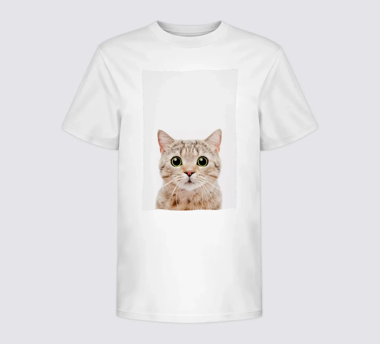 Kitten t-shirt bambini da Paws & Claws