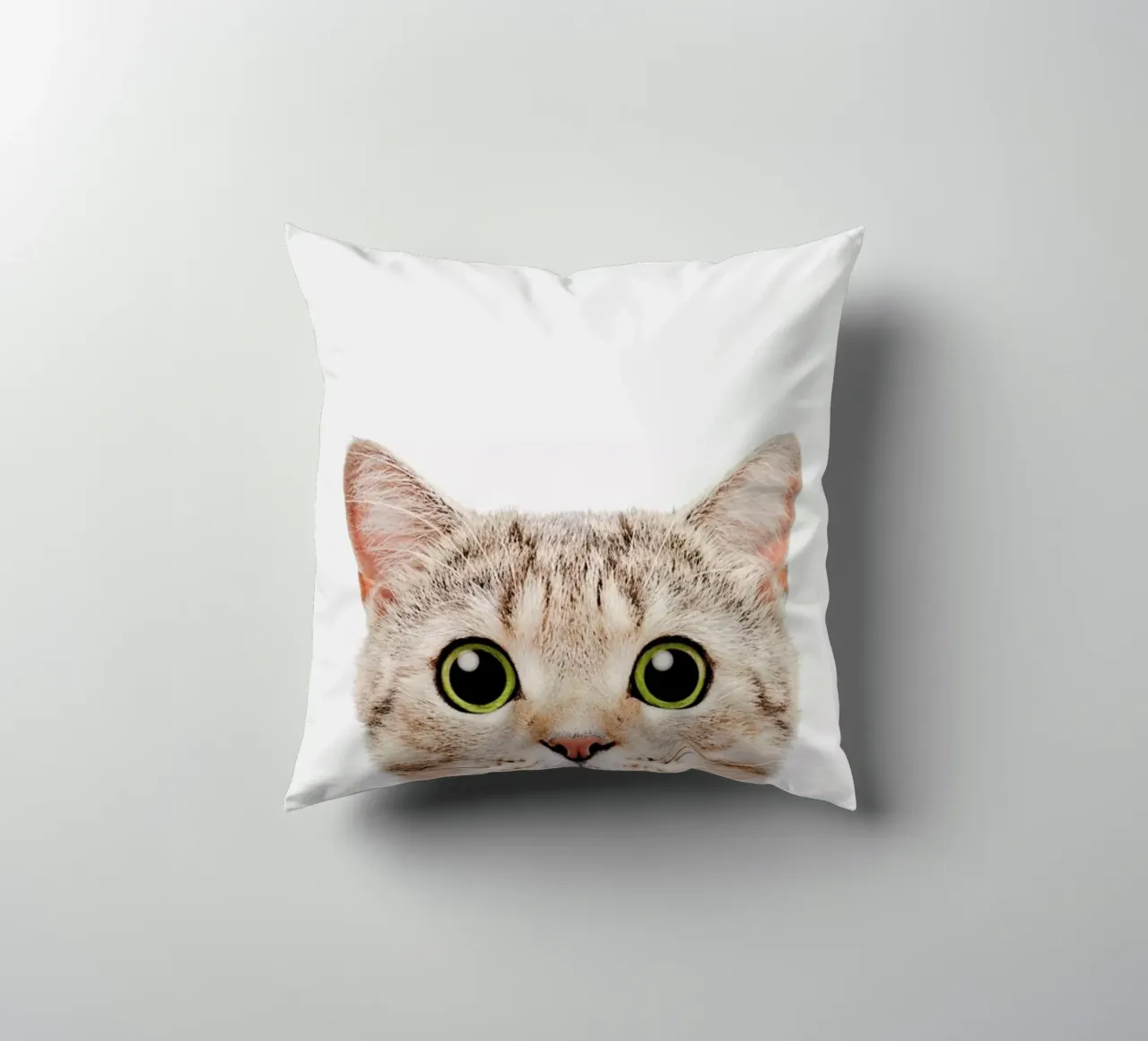 Kitten cuscino da Paws & Claws