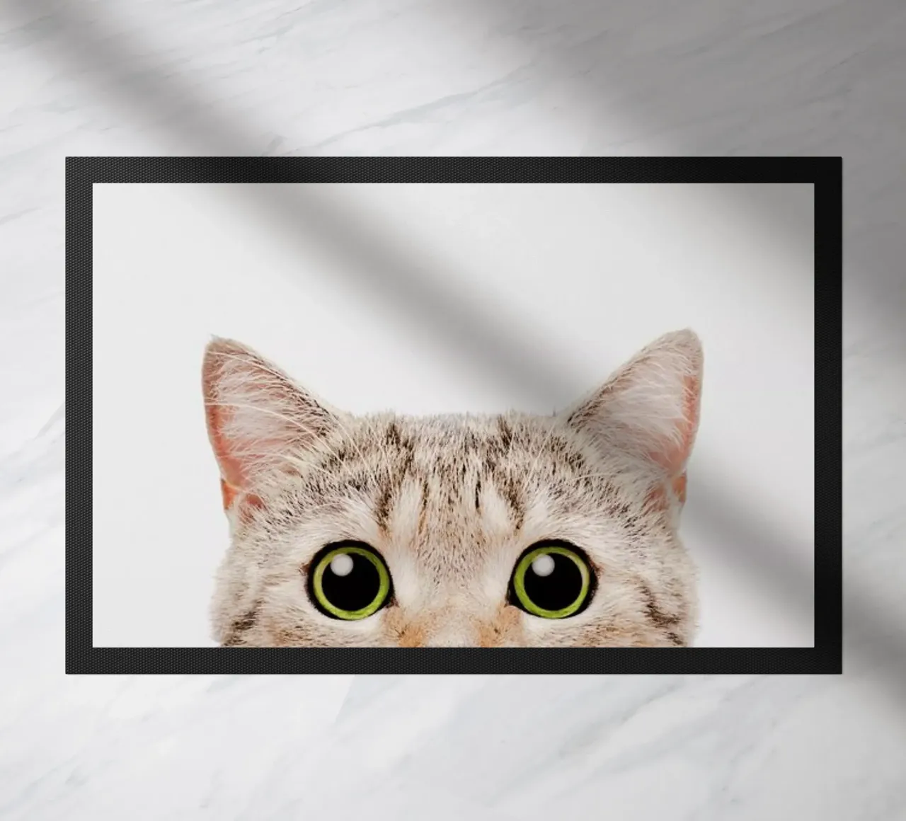 Kitten zerbino da Paws & Claws