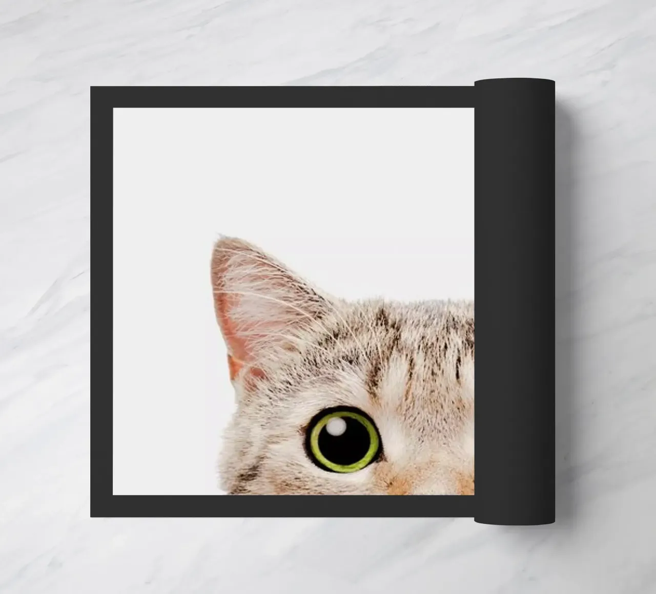 Kitten zerbino da Paws & Claws