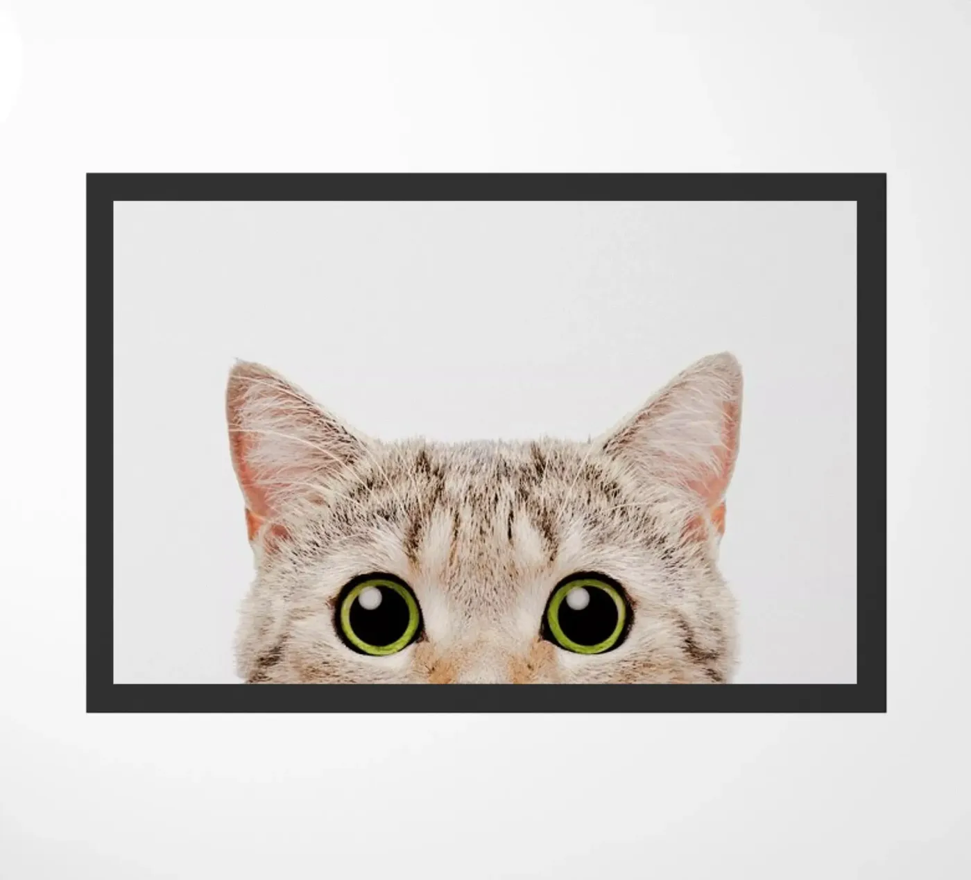 Kitten zerbino da Paws & Claws