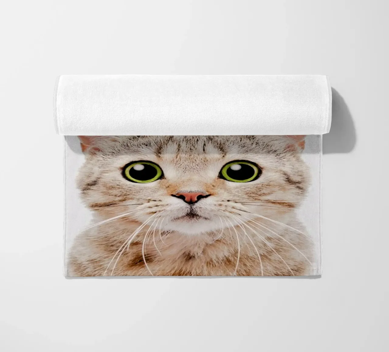 Kitten telo mare da Paws & Claws