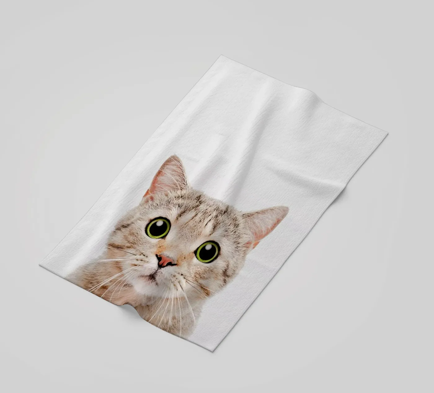 Kitten beach towel by Paws & Claws