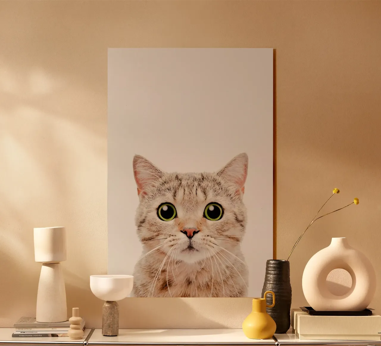 Kitten plexiglass da Paws & Claws