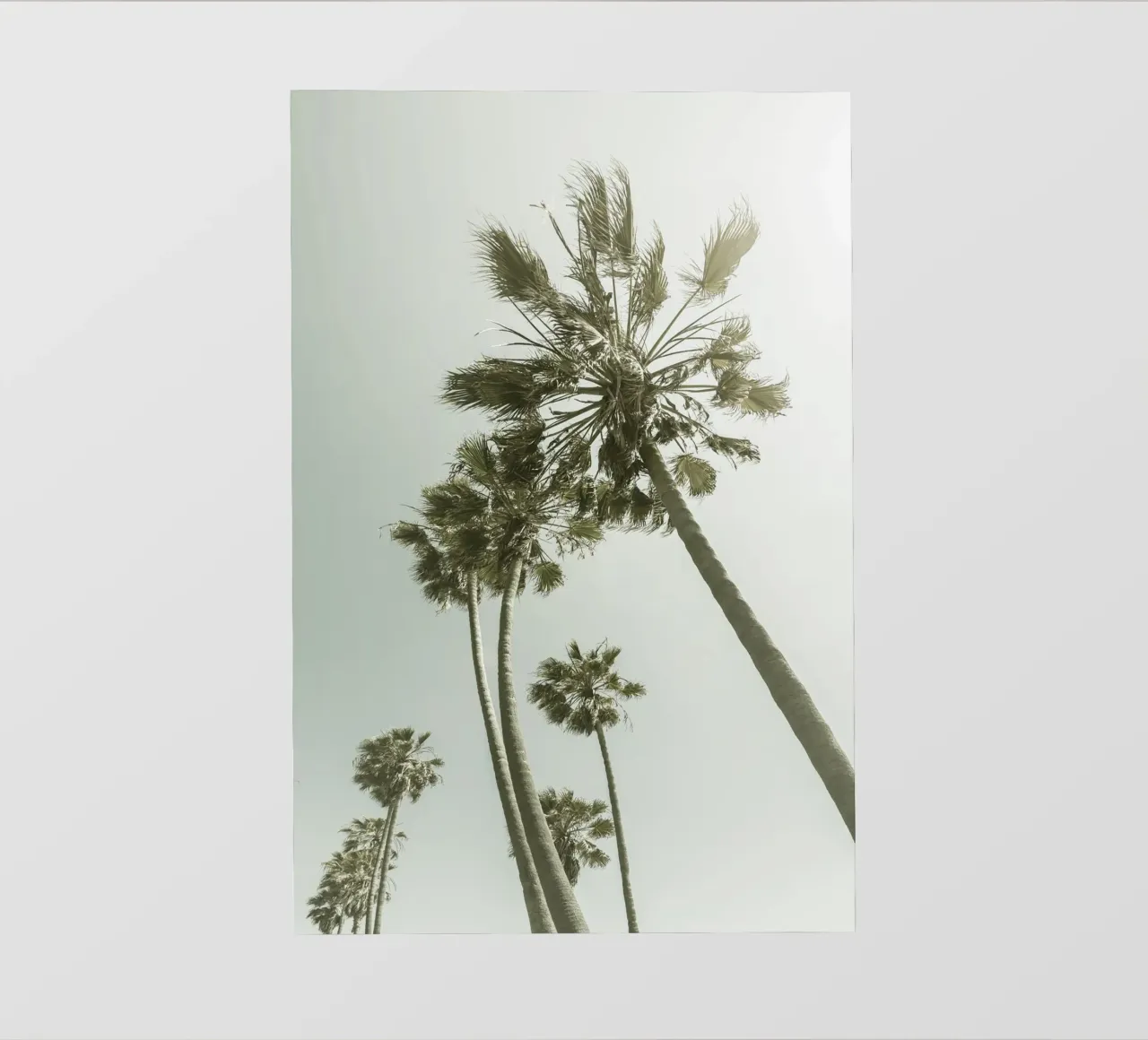 Idillio di palme vintage telo in pvc da Melanie Viola