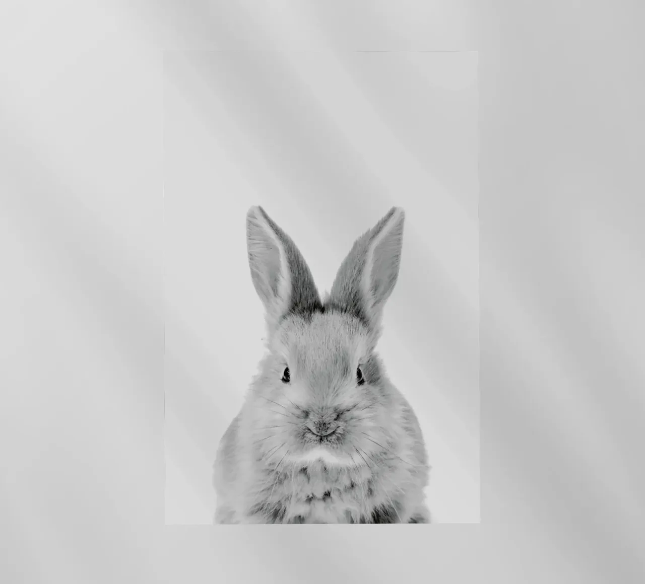 Bunny Classic pellicola backlit da Paws & Claws