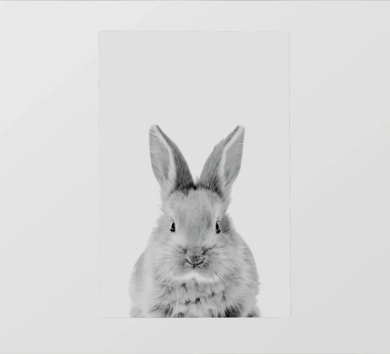 Bunny Classic pellicola backlit da Paws & Claws